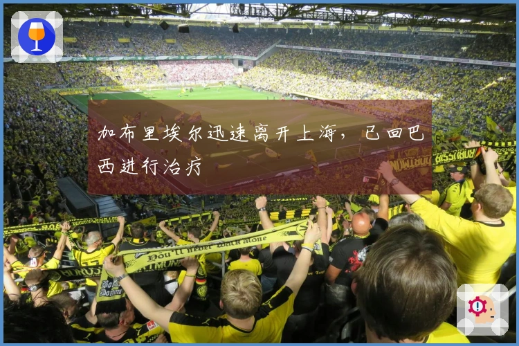 加布里埃尔迅速离开上海，已回巴西进行治疗