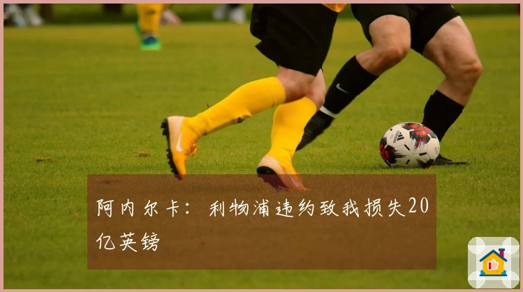 阿内尔卡：利物浦违约致我损失20亿英镑